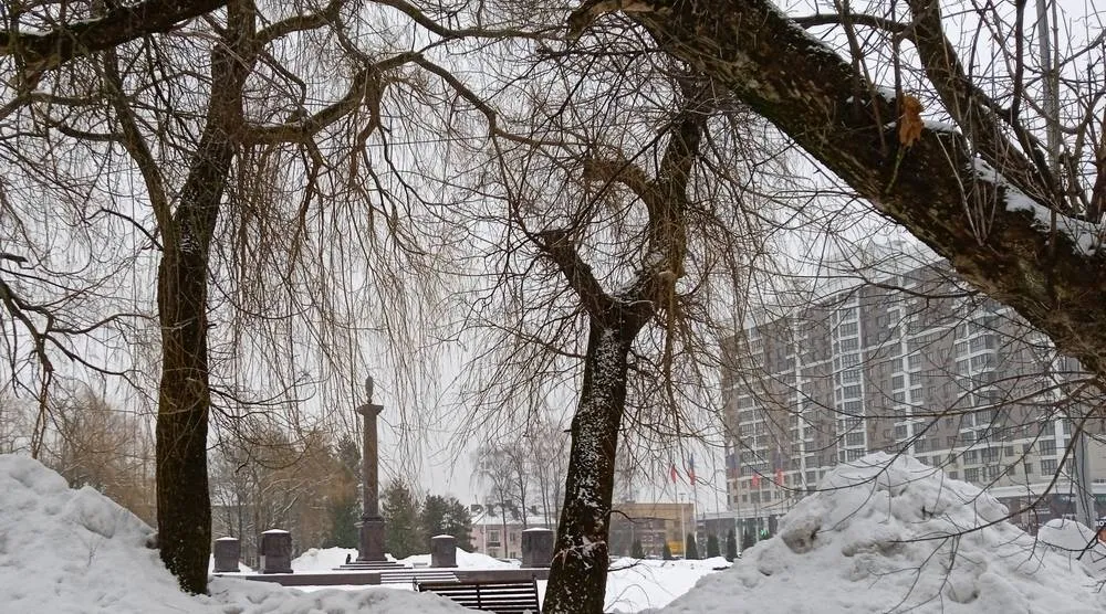 В Брянской области погода середины марта станет весенней из-за теплого атмосферного фронта