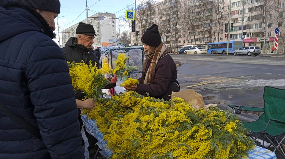 Накануне праздника 8 Марта жителям Брянска предложили глинищевско-голландские тюльпаны