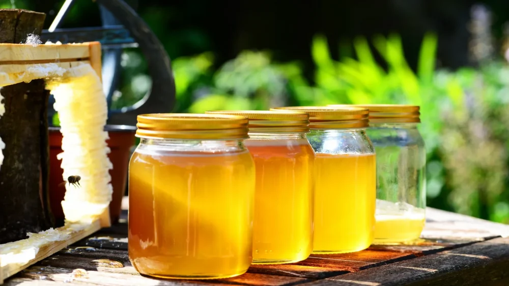 В России появится стандарт качества на мёд