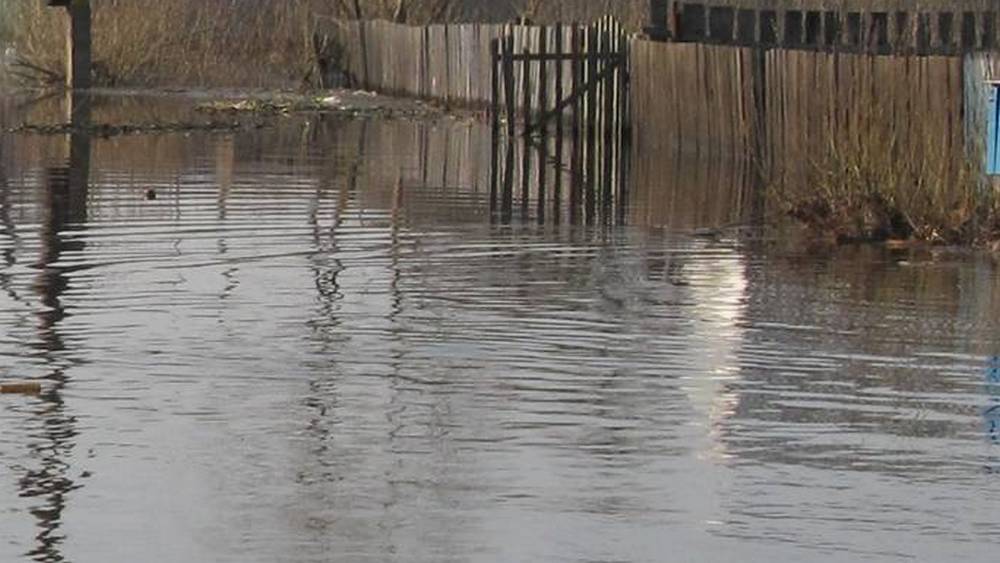 МЧС предупредило о возможном затоплении 14 приусадебных участков в Брянской области