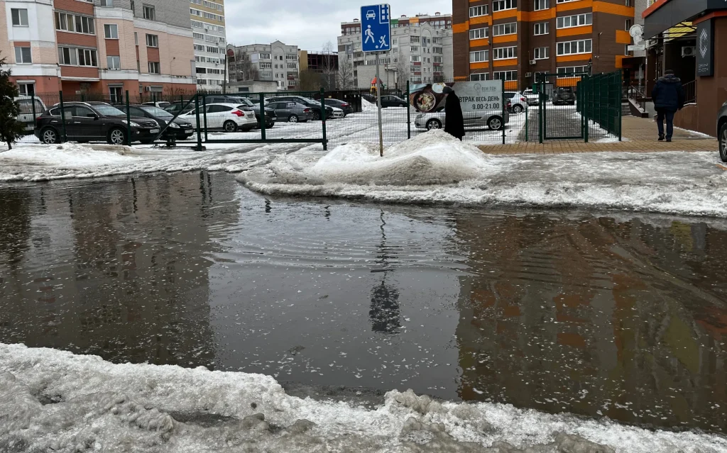 Госавтоинспекция Брянской области предупредила водителей о гололедице и «каше» на дорогах