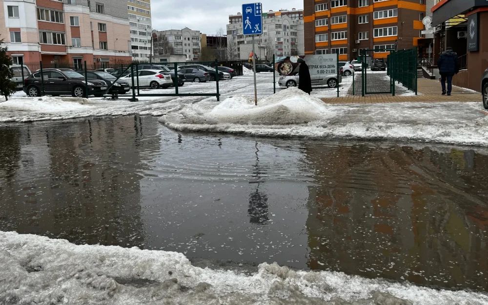 В Брянской области 16 февраля 5-градусный мороз сменится 2-градусным теплом