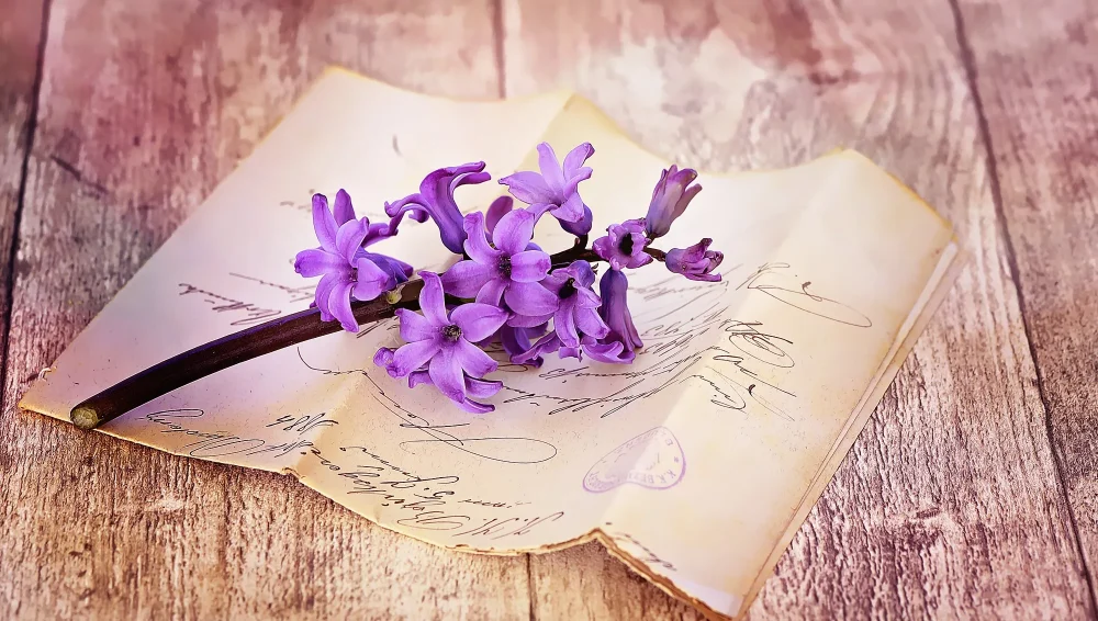 Гиацинт — особенный цветок для букетов
