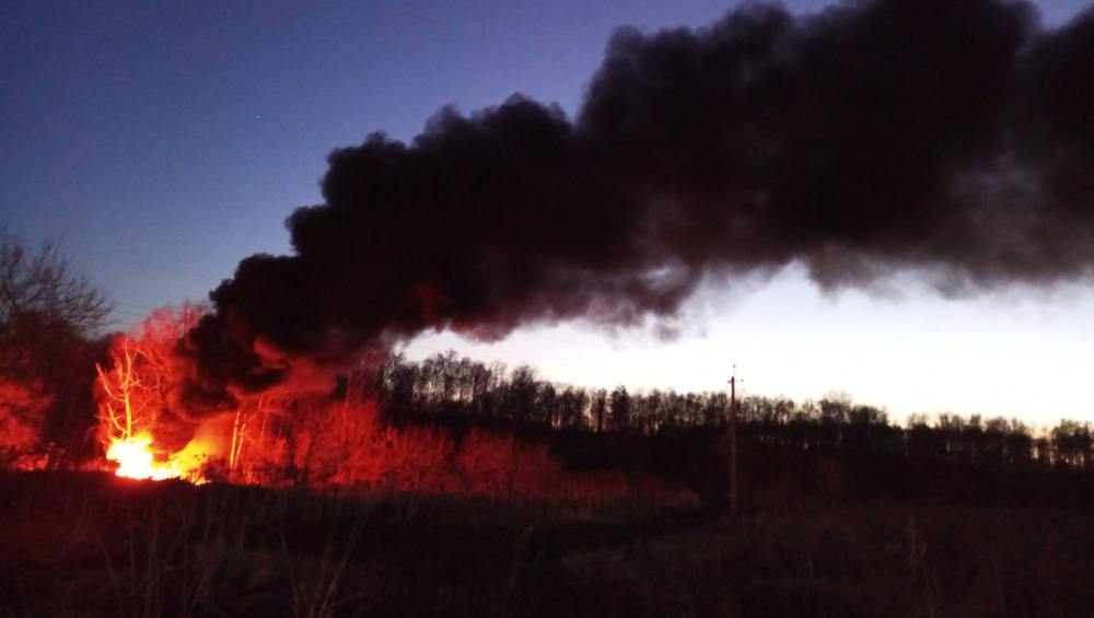 В поселке Мичуринском под Брянском заметили огонь и сильный дым