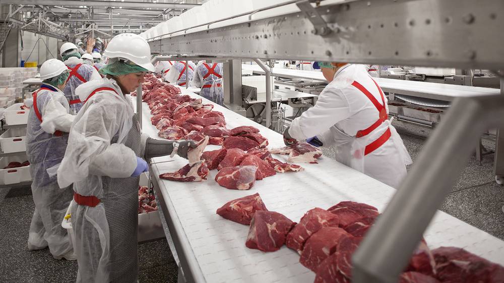 Мираторг инвестировал свыше 13 млн рублей в повышение эффективности системы контроля качества на производстве говядины в 2022 году