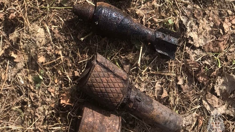 В Унечском районе спасатели 20 марта обезвредили мину, боевую гранату и два взрывателя