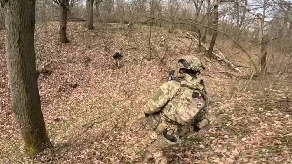 Эксперт сообщил об угрозе Брянской области со стороны украинских боевиков и «партизан»