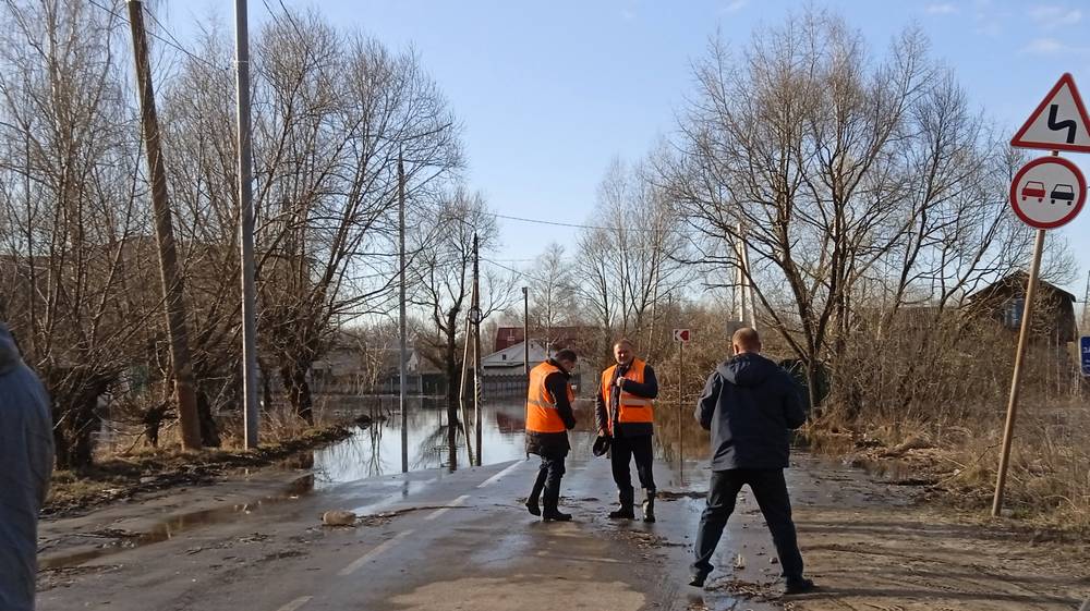 МЧС: в Брянской области более 700 домов попали в зону подтопления из-за половодья