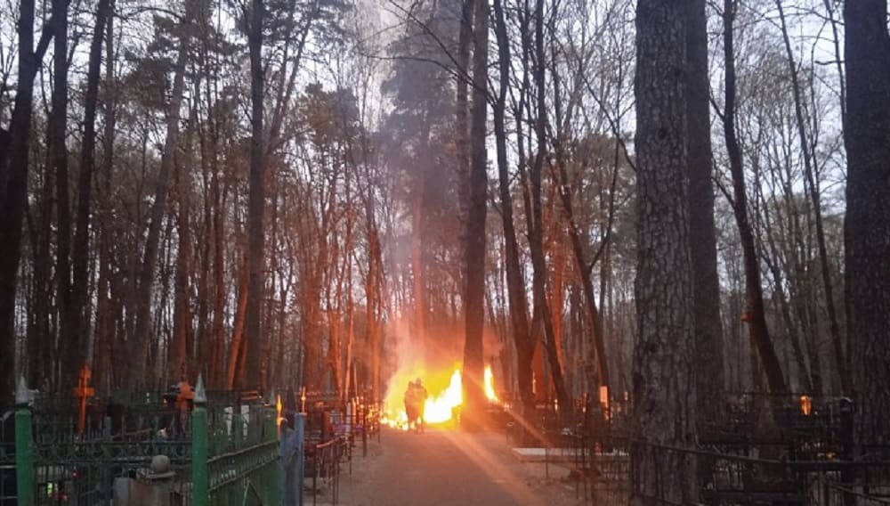 В Брянске в Пасхальное воскресенье потушили пожар на кладбище по улице Почтовой