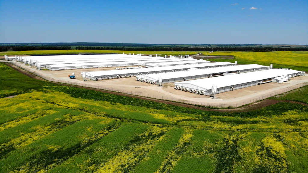 Значительные цифры роста показал в I квартале АПК Брянской области