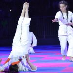 В Брянске на фестивале боевых искусств перед 4 тысячами зрителей выступили 700 спортсменов