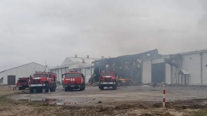 В Брянской области при пожаре на территории птицеводческого комплекса погиб один человек
