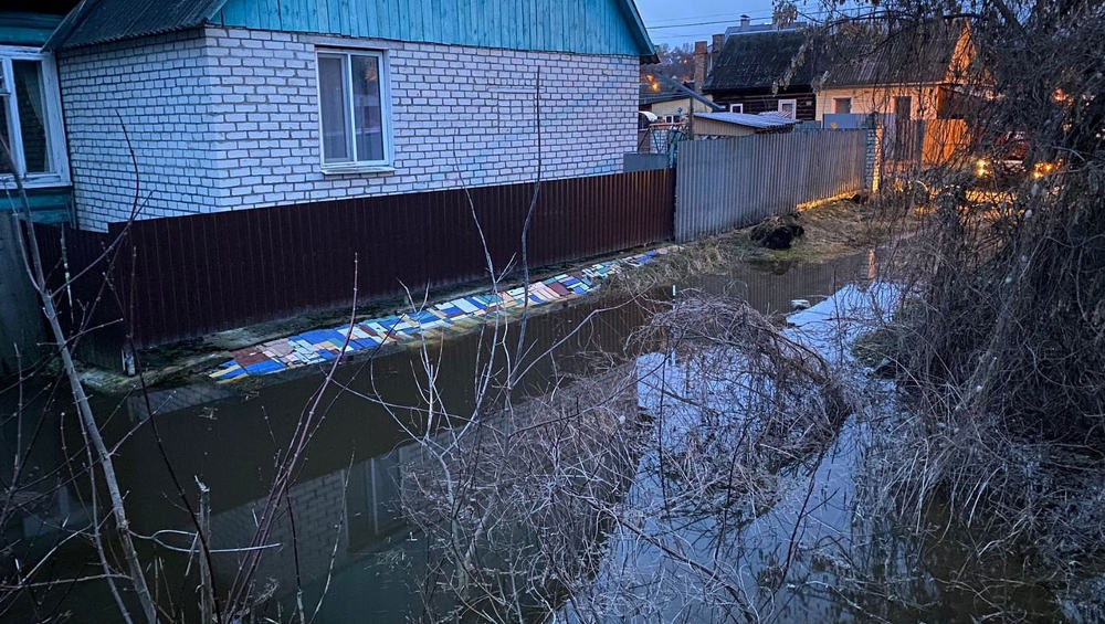 В Брянске власти заявили о прохождении пика паводка