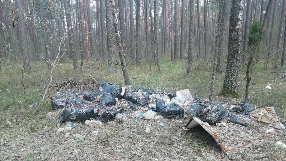 В Климовском районе загадили свалкой лес вдоль живописного ручья
