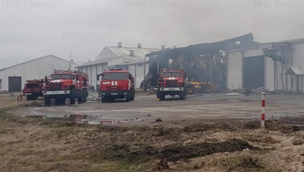В Брянске возбуждено уголовное дело по факту гибели человека во время пожара на птицеферме