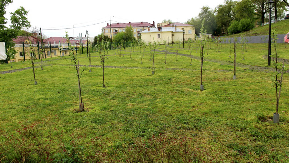В Новозыбкове на Аллее Героев заложили «Сад памяти» из первых 10 яблонь