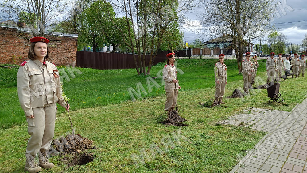 В Новозыбкове на Аллее Героев заложили «Сад памяти» из первых 10 яблонь