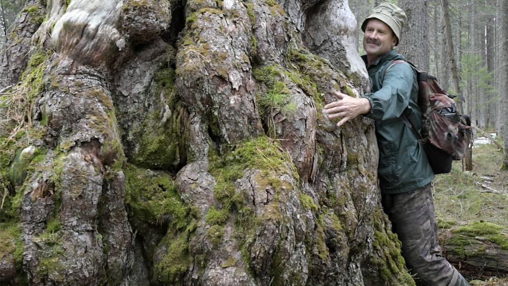 В заповедном Хамар-Дабане брянец Игорь Шпиленок нашел место ночлега в стволе дерева