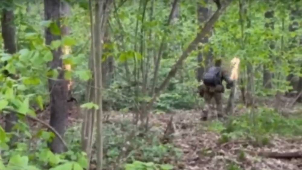 Украинских боевиков подловили при поджоге лесов на границе Брянской области