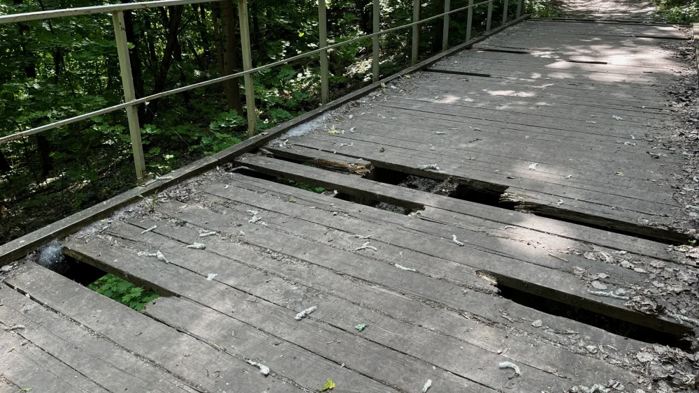 Жители Брянска попросили отремонтировать разрушенный мостик в «Соловьях»