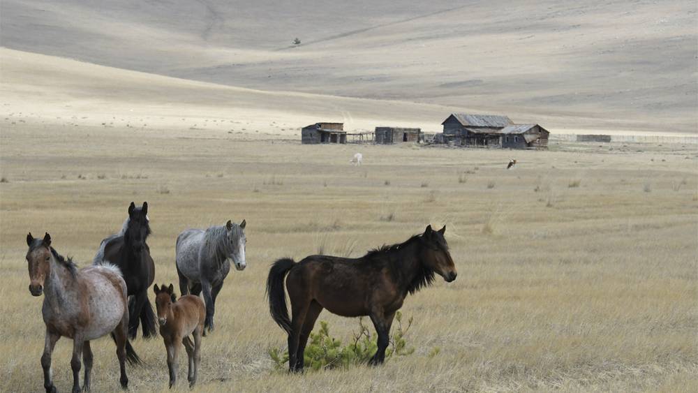 Игорь Шпиленок отдалился от Брянска на 5 часовых поясов и оказался в Тажеранской степи