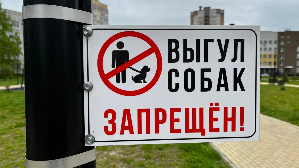 В Брянской области граждан могут начать штрафовать за самовыгул собак