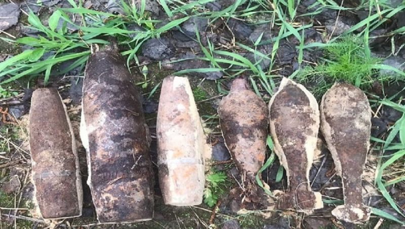 Под Навлей Брянской области обнаружили 100-килограммовую авиабомбу, 3 снаряда и 4 мины