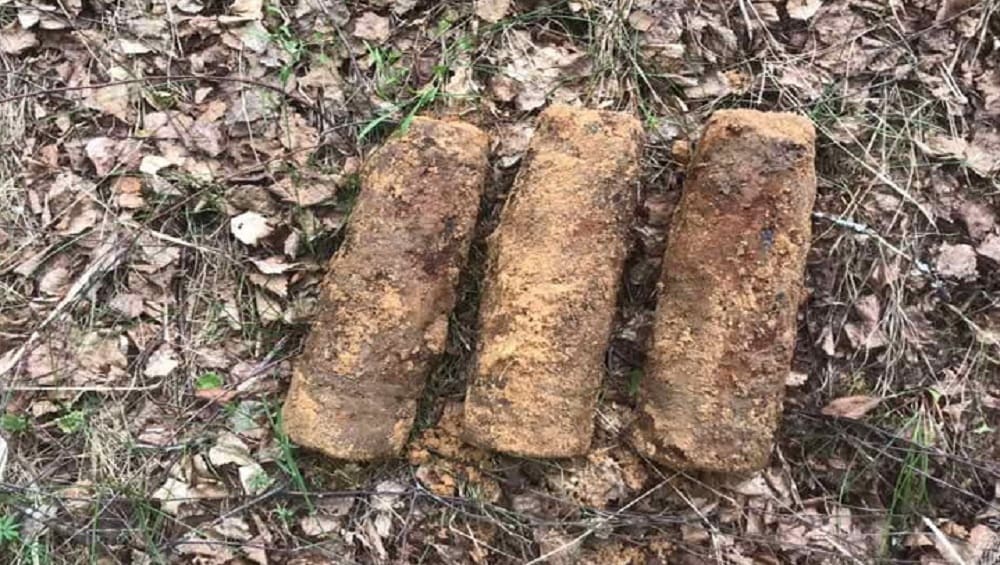 В двух районах Брянской области местных жителей напугали четыре артиллерийских снаряда