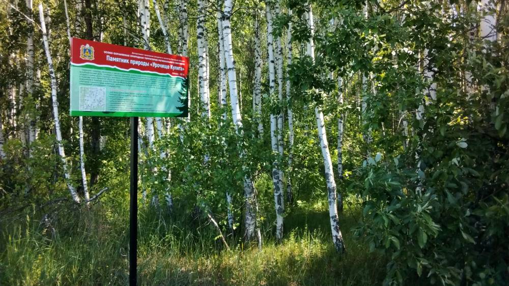 В Брянской области установили информационные щиты на особо охраняемых землях