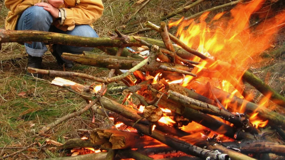 Опубликован приказ о запрете пребывания граждан в лесах Брянской области