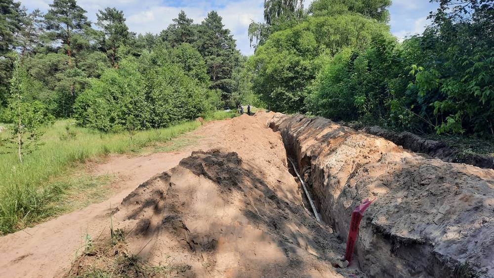 В Брянске началась  одна загадочная стройка в лесу | Брянские новости