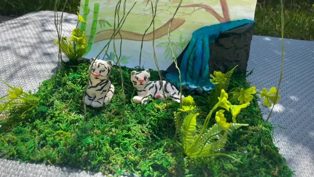 Брянская восьмиклассница с белыми бенгальскими тиграми завоевала путевку в Московский зоопарк
