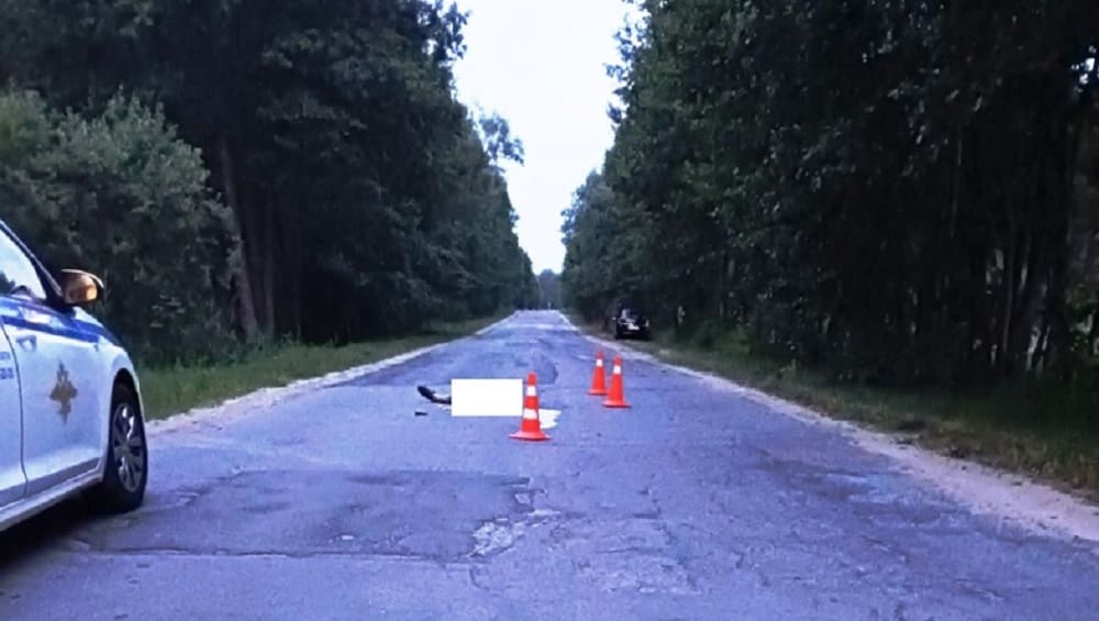 Под Гордеевкой юный водитель ВАЗ задавил сидевшего на дороге 29-летнего мужчину и скрылся