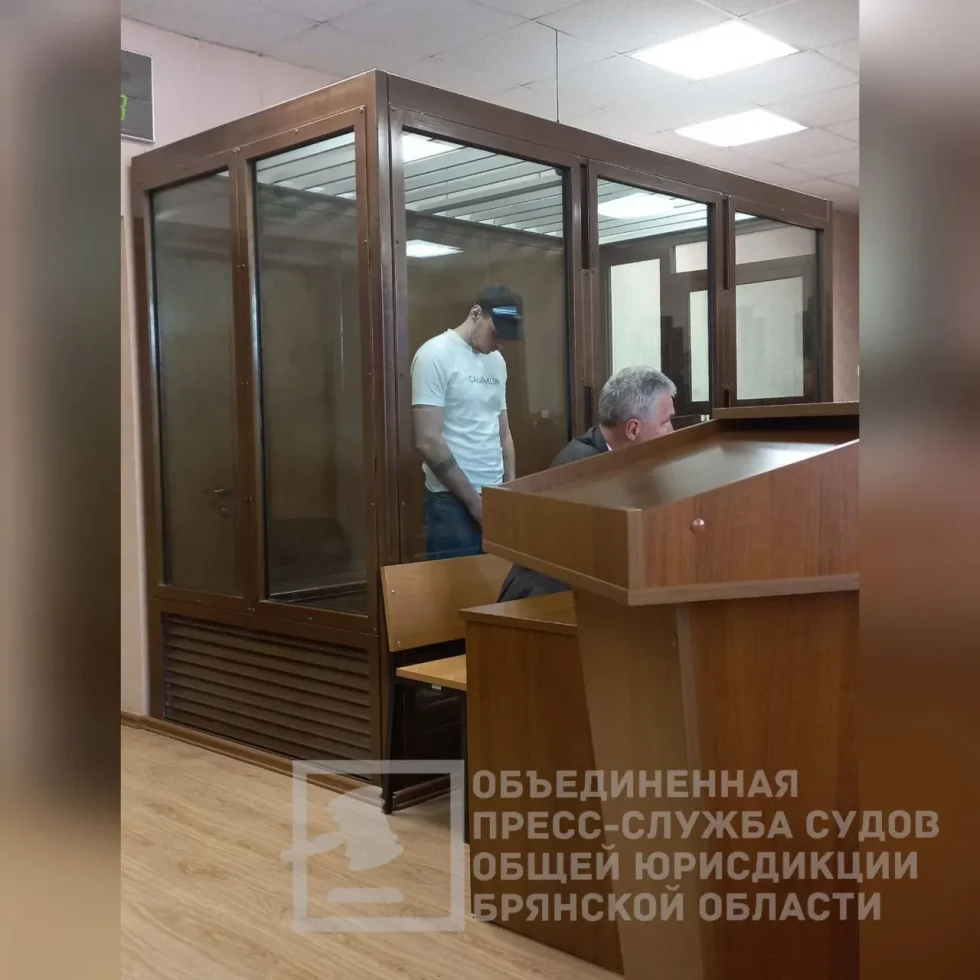 Брянский областной суд осудил москвича на 9 лет и 6 месяцев колонии за госизмену