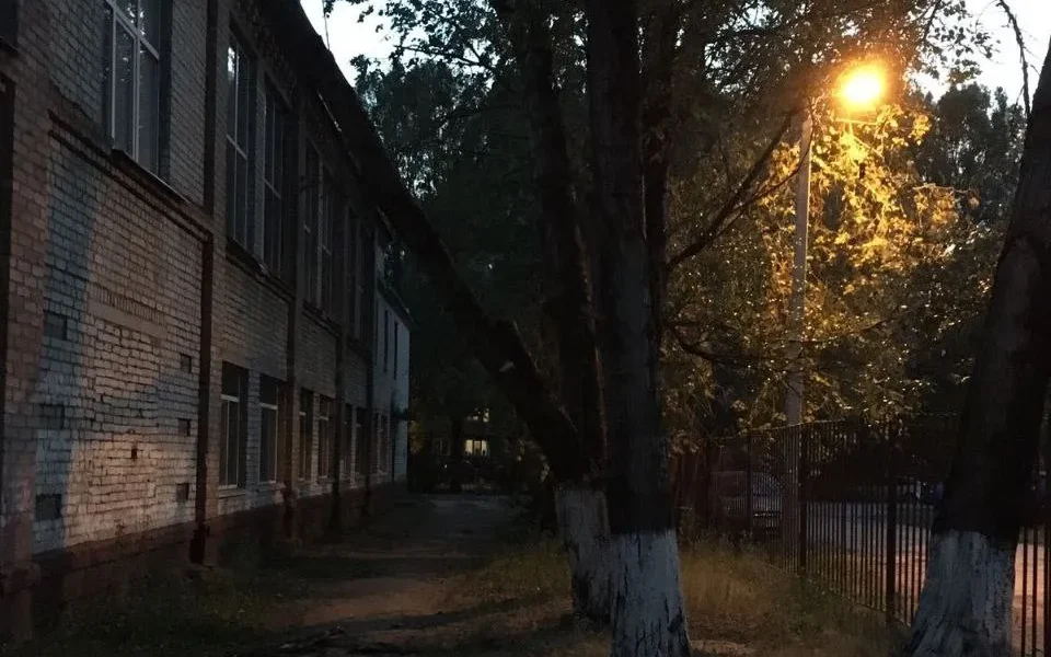 В Брянске на здание 51 школы в Фокинском районе обрушилось дерево