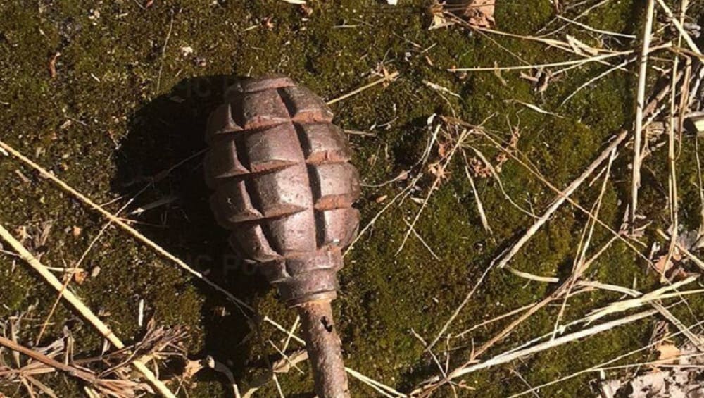 В Клинцах брянец за две боевые гранаты получил шесть лет зоны строгого режима