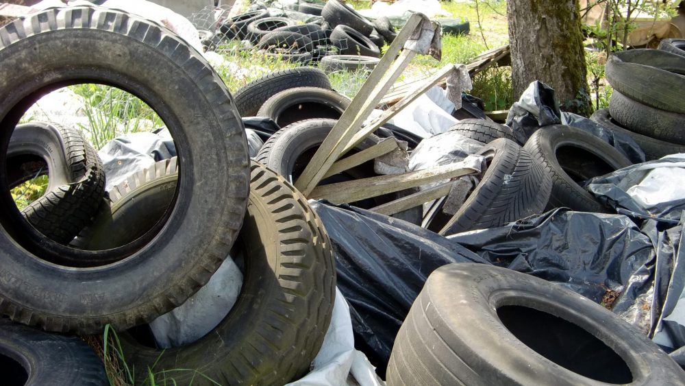 Прокуратура обязала мэрию Брянска ликвидировать свалку в Володарском районе