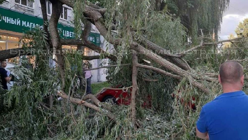 В Брянске 18 июля 2023 года ураганный ветер повалил более 20 деревьев