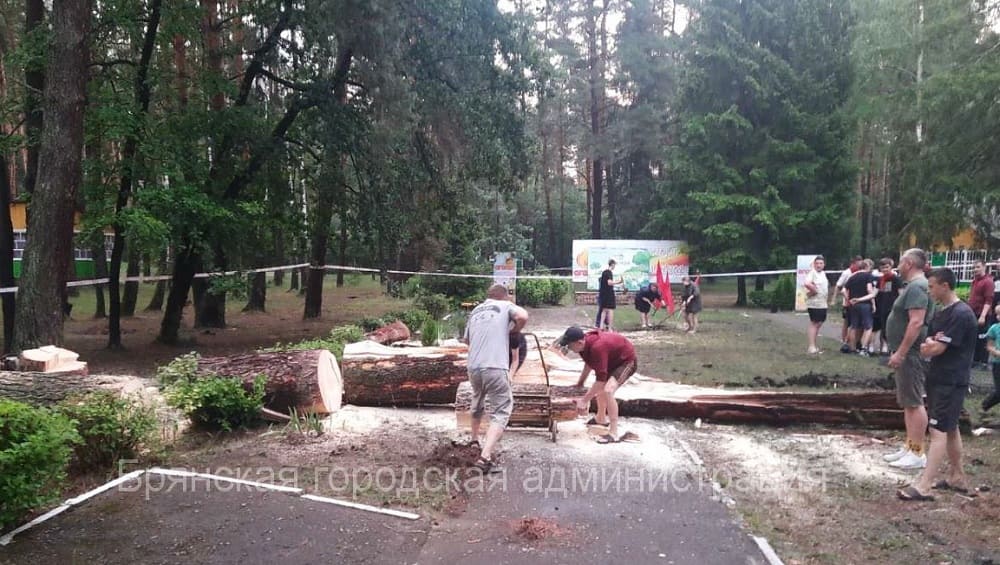 В Брянске во время ливня с грозой были повалены 7 деревьев и повреждены 8 светофоров