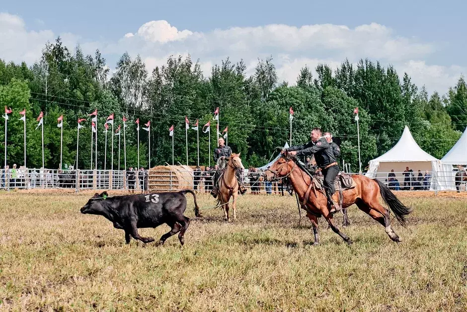Брянские ковбои  «Мираторга» одержали победу  в « Русском Родео-2023» в Орле