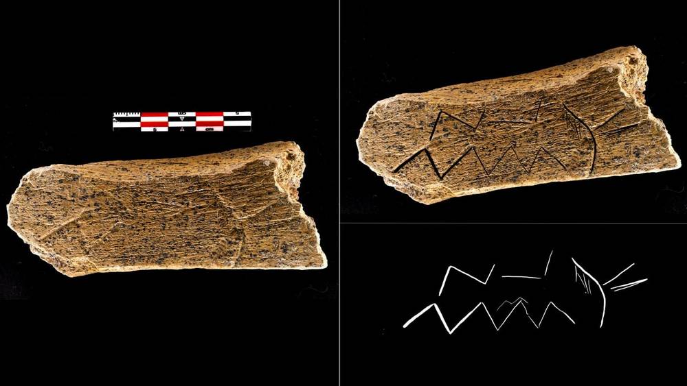 Под Брянском в селе Хотылёве археологи во время раскопок обнаружили следы неандертальцев