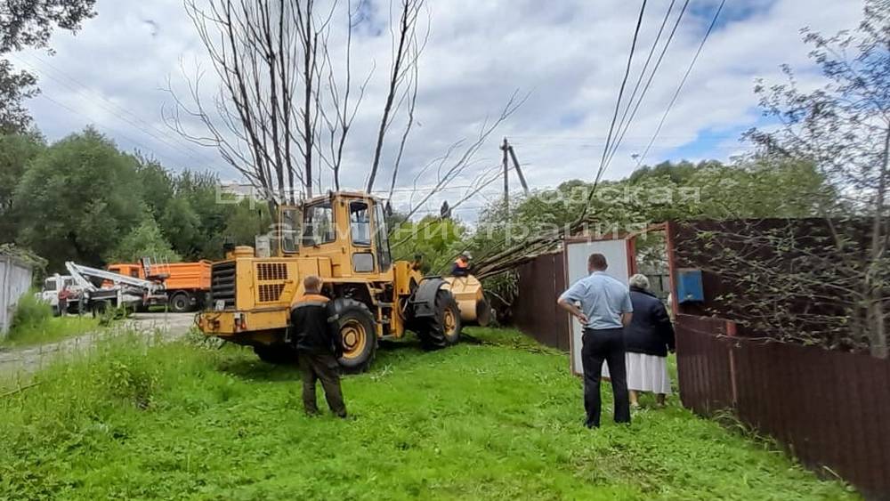 В Брянске после сильного ветра убрали сломанные деревья и восстановили электроснабжение