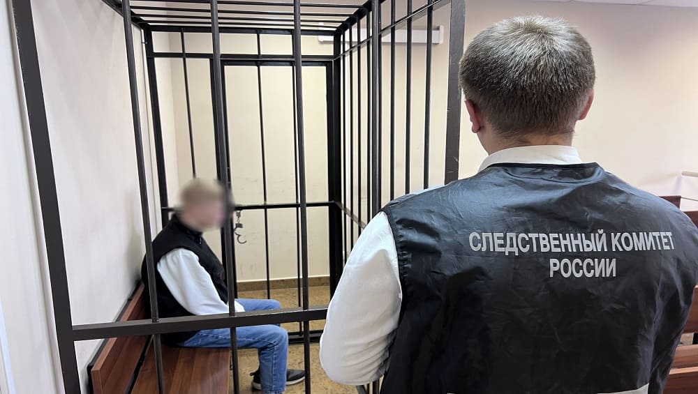 В Клинцах 18-летнего юношу и 17-летнего подростка отдали под суд за аферы на 480000 рублей
