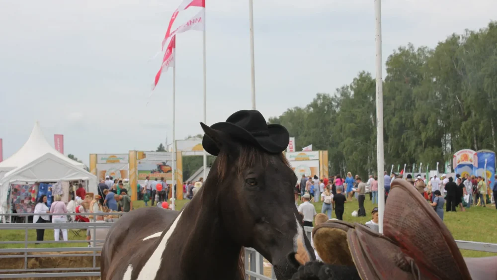 В «Мираторг» едет учиться и работать лучшая молодежь со всей страны