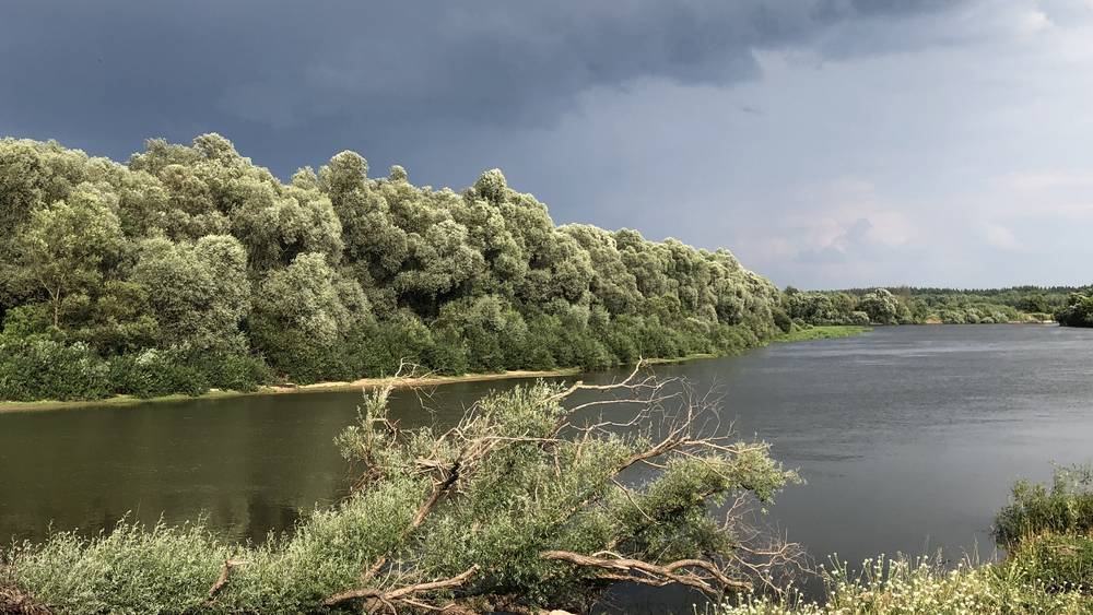 В Брянской области 20 июля ожидаются кратковременные дожди с грозами при 26 градусах тепла