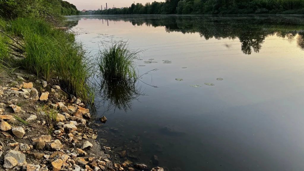 Роспотребнадзор опубликовал список из 12 зараженных водоемов Брянской области