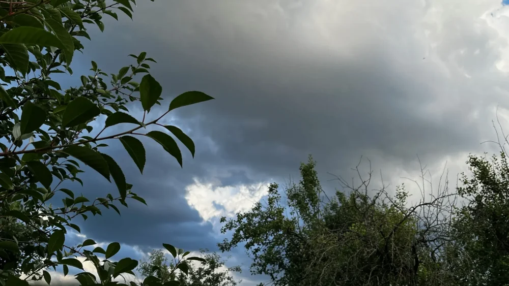 На Брянскую область обрушатся 6 мая дожди и грозы при сильном ветре