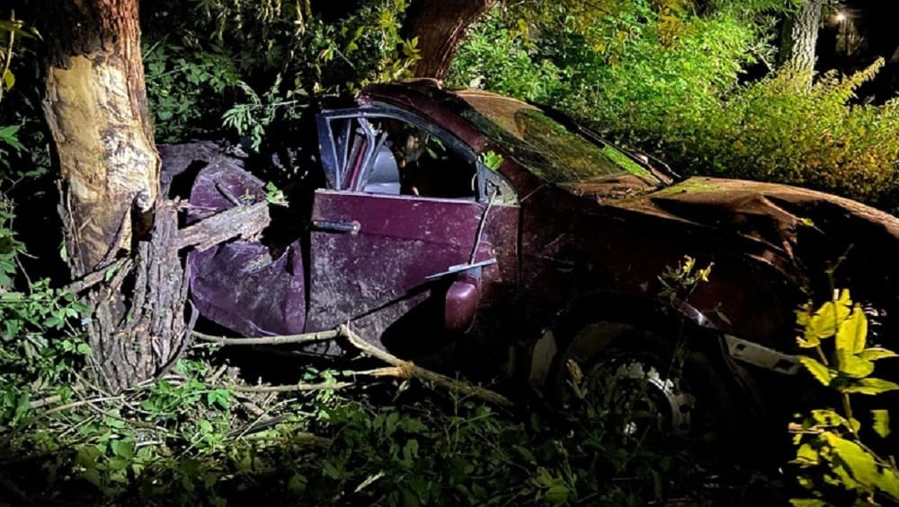 Под Стародубом юный водитель Geely врезался в дерево и сломал челюсть 18-летней пассажирке