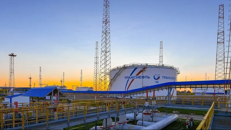 Брянскую компанию «Транснефть — Дружба» обвинили в нанесении ущерба биоресурсам