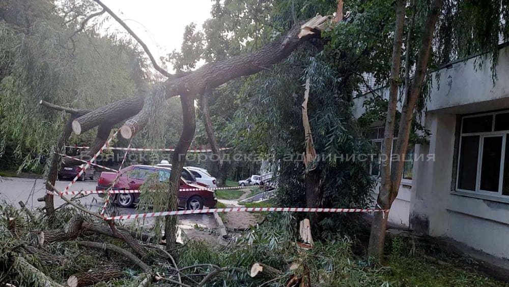 В Брянске 18 июля 2023 года ураганный ветер повалил более 20 деревьев
